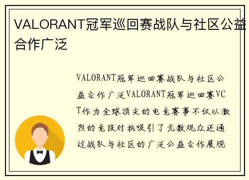 VALORANT冠军巡回赛战队与社区公益合作广泛
