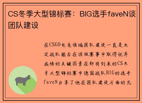 CS冬季大型锦标赛：BIG选手faveN谈团队建设